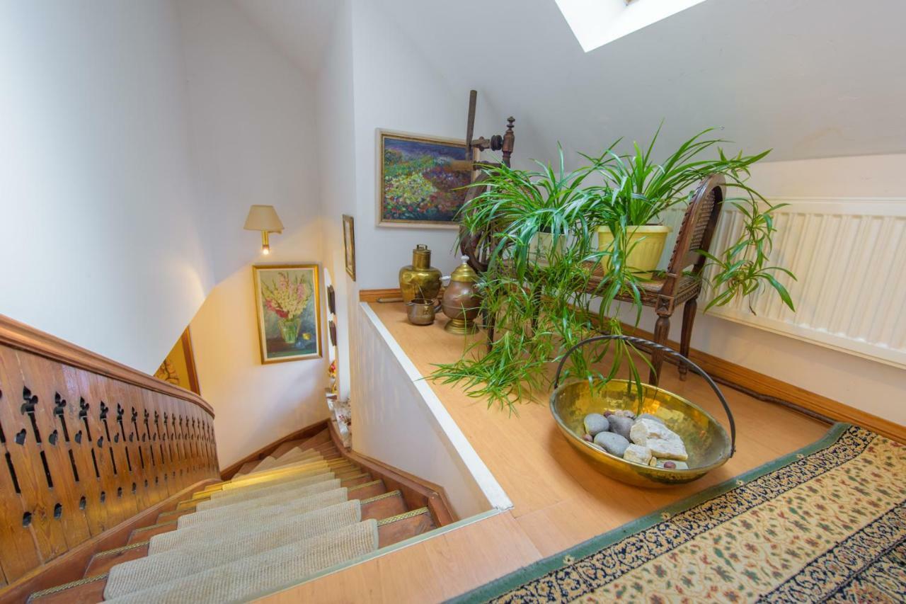 Villa Parkowa 5 Świeradów-Zdrój Екстериор снимка
